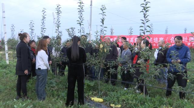 fdaf8f1ee6174b7d9bb4d1c354117b16.png fdaf8f1ee6174b7d9bb4d1c354117b16.png