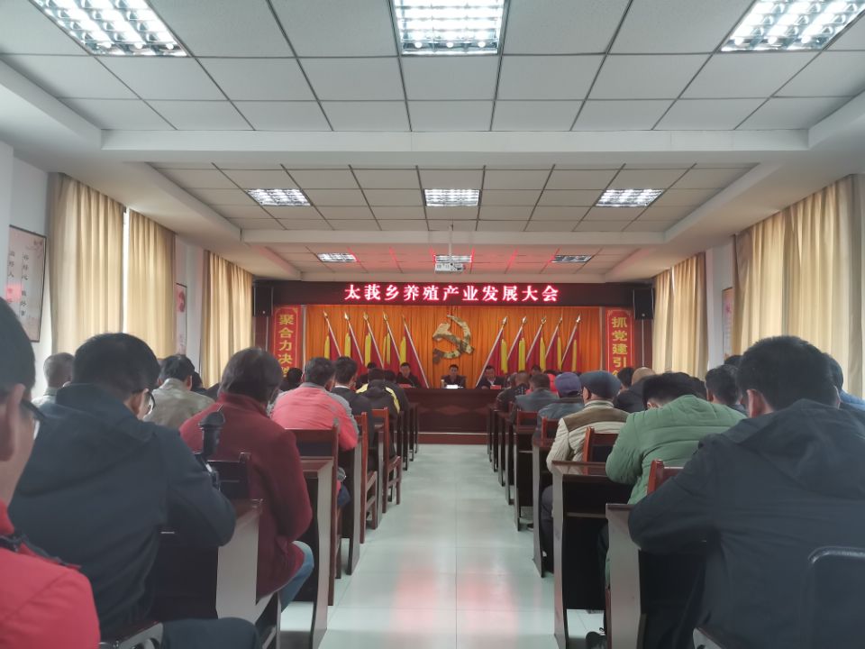 e08a09af214d43218ce05545b859ade0.jpg