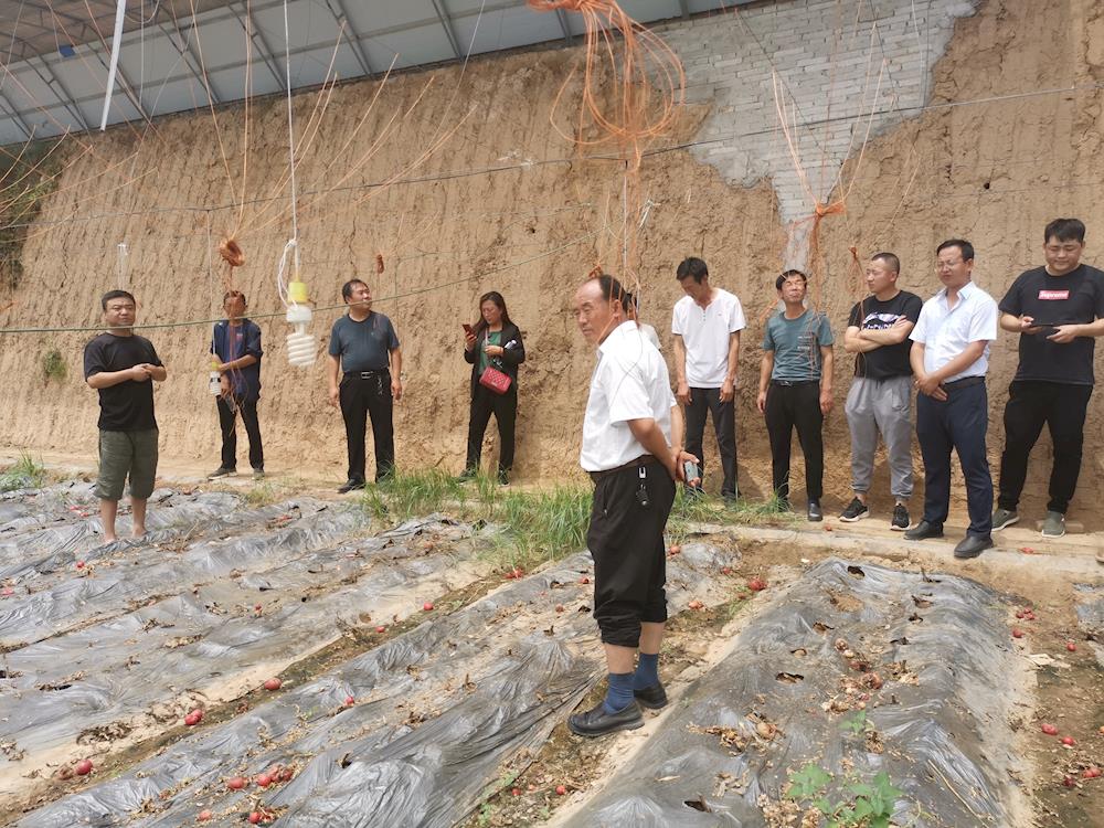 28de5ce4dcc145a48ce869a4b1eabba7.jpg