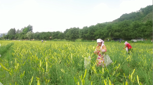 1597711837837026212.png 1597711837837026212.png