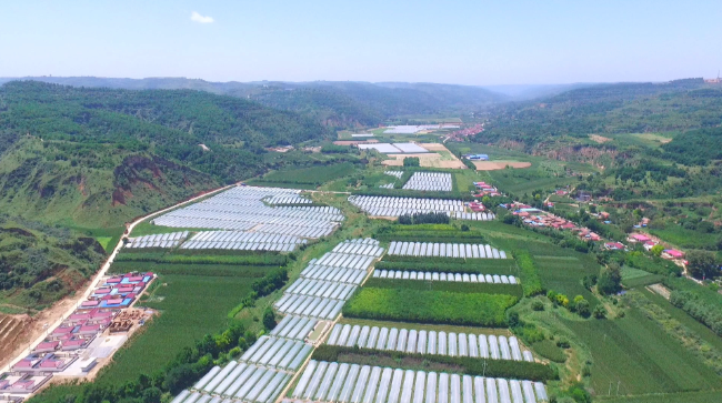 1597711892053011439.png 1597711892053011439.png