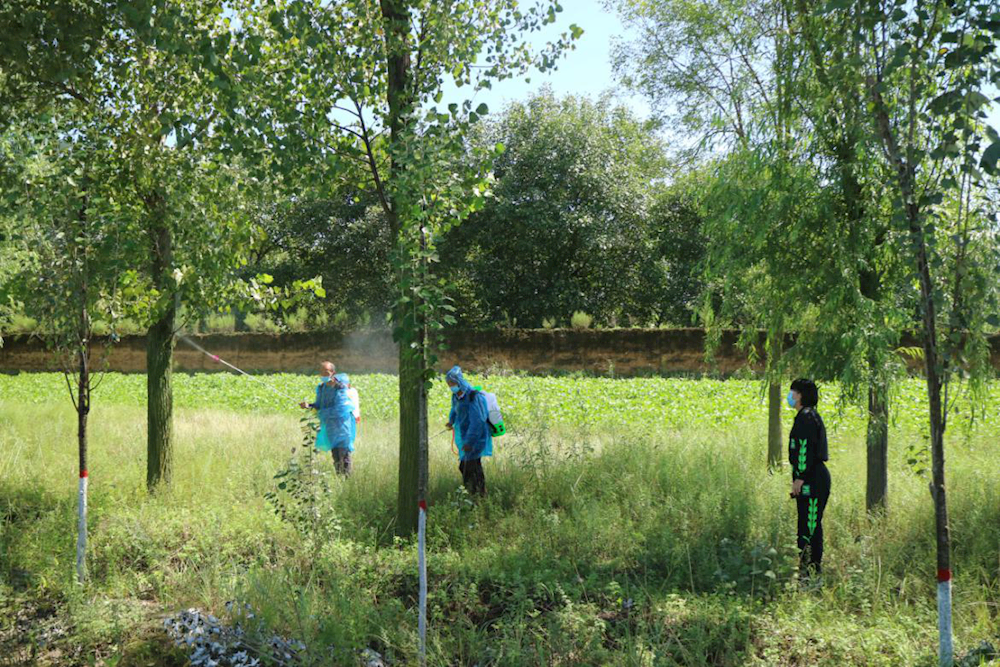 7f2085041dda476caa30bc3471e43c99.png 7f2085041dda476caa30bc3471e43c99.png