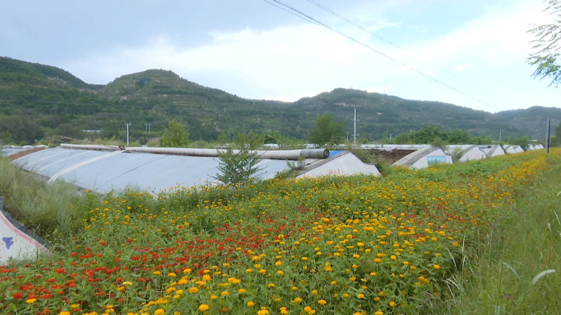 1600047553402087356.jpg 1600047553402087356.jpg