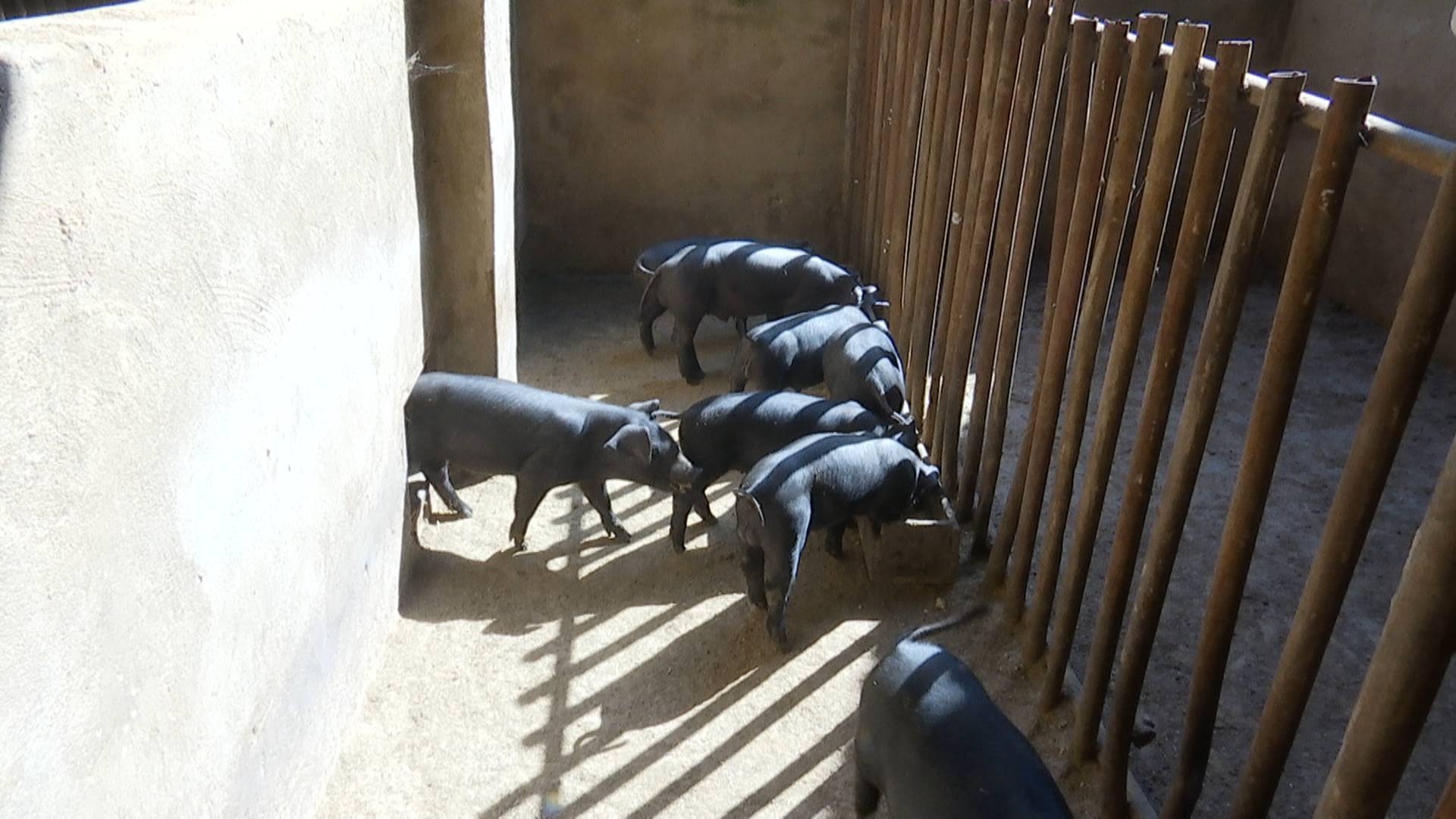 1600047664505094620.jpg 1600047664505094620.jpg