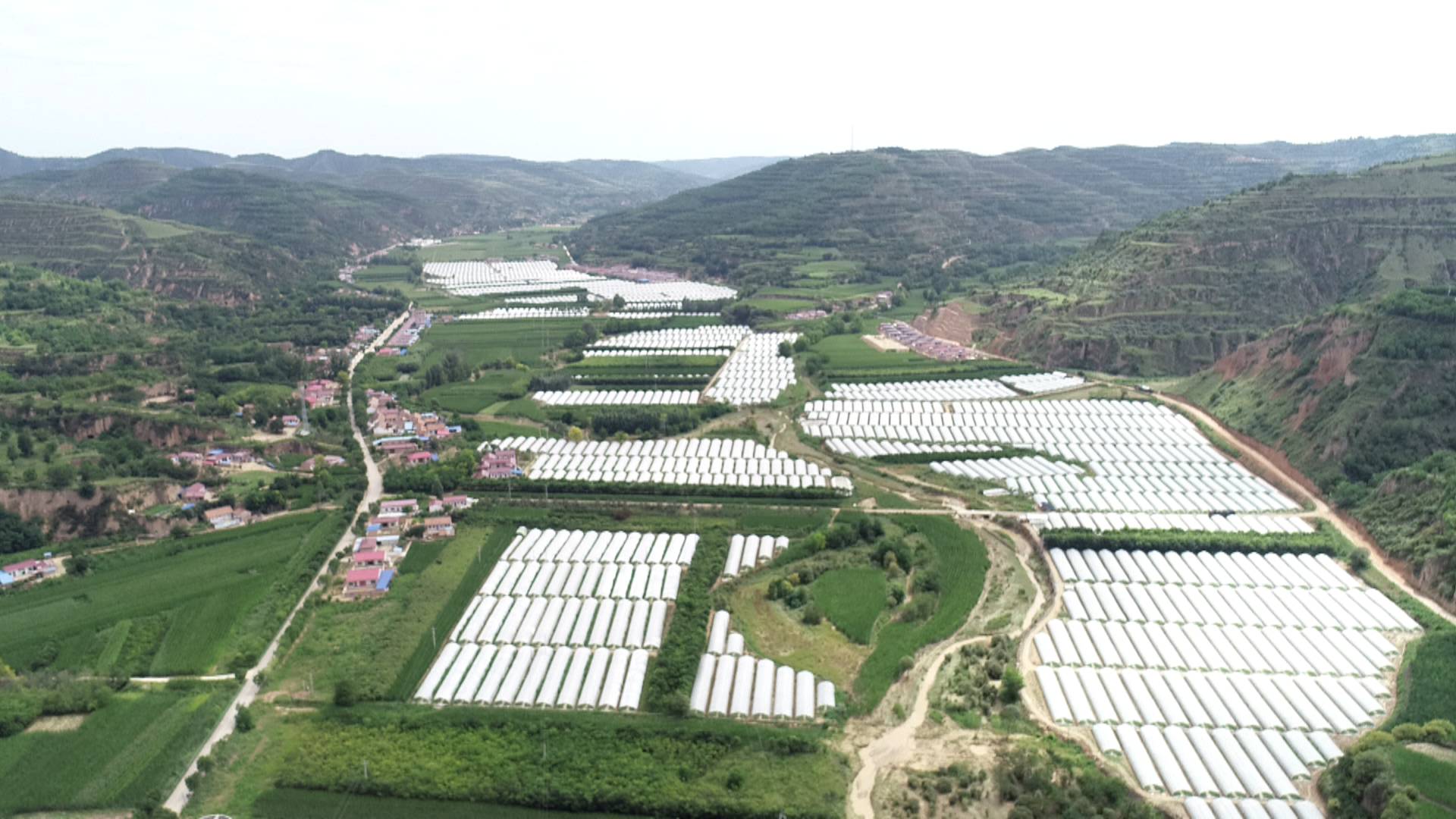 1600395983013058333.jpg 1600395983013058333.jpg