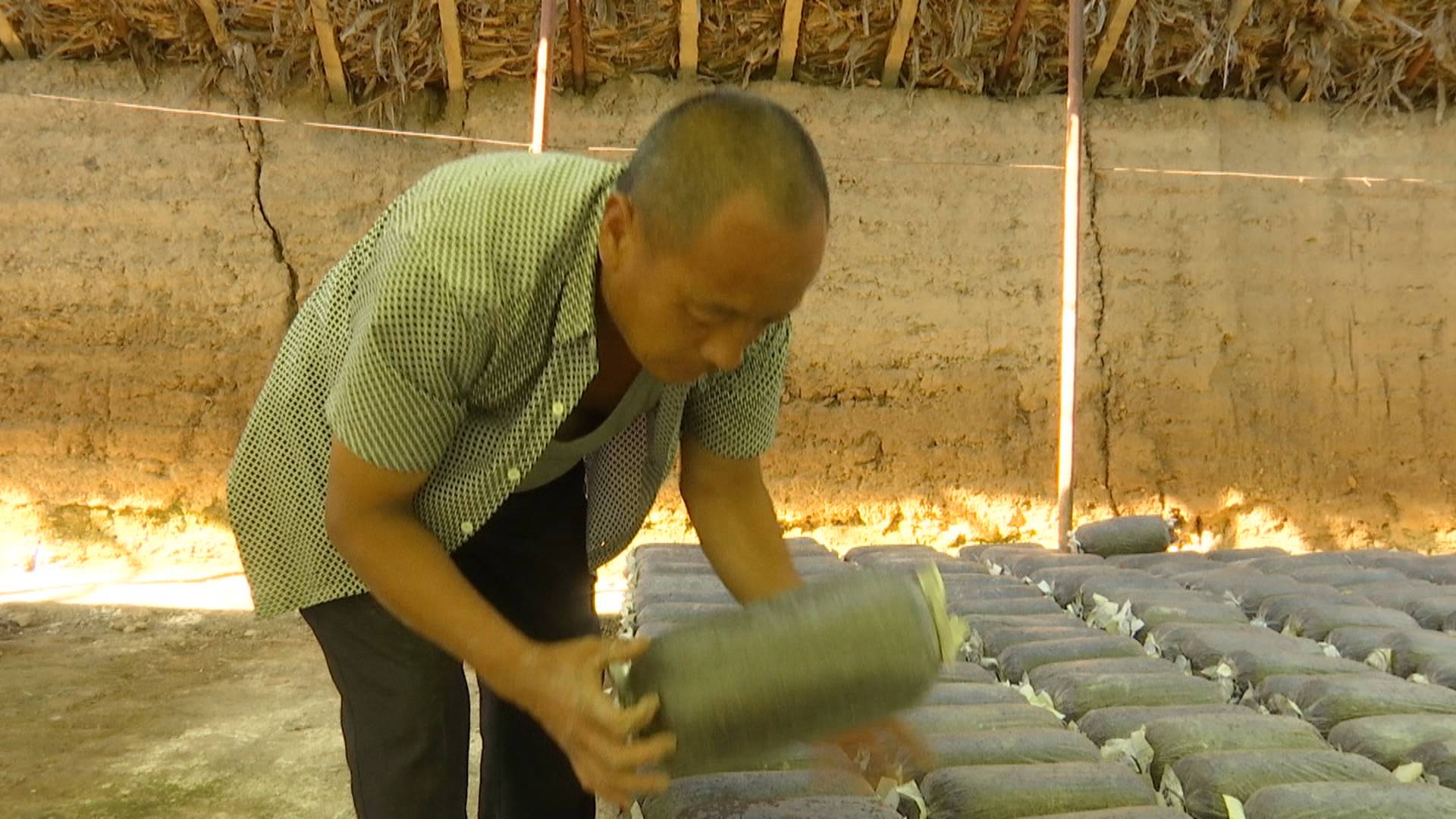 1600395454052082970.jpg 1600395454052082970.jpg