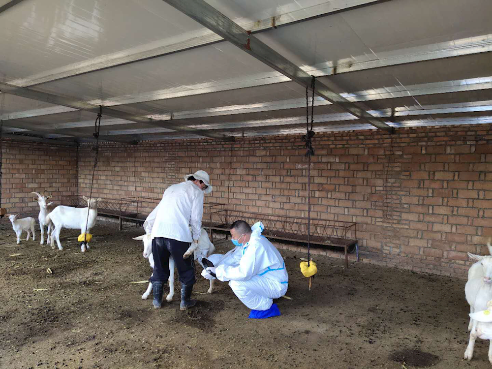 6b7435e7e08c422c86cb2ca38aaa11d3.png 6b7435e7e08c422c86cb2ca38aaa11d3.png