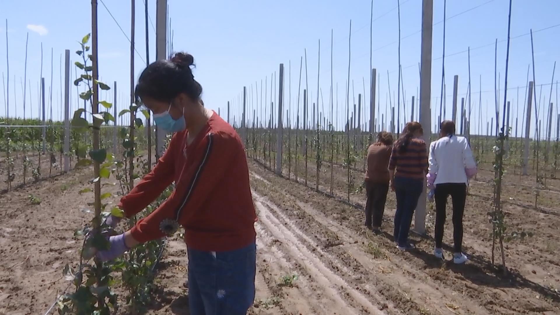 1602469414301035902.jpg 1602469414301035902.jpg