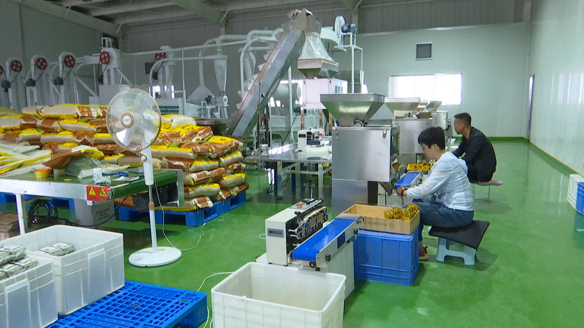 1600995335914077624.jpg 1600995335914077624.jpg