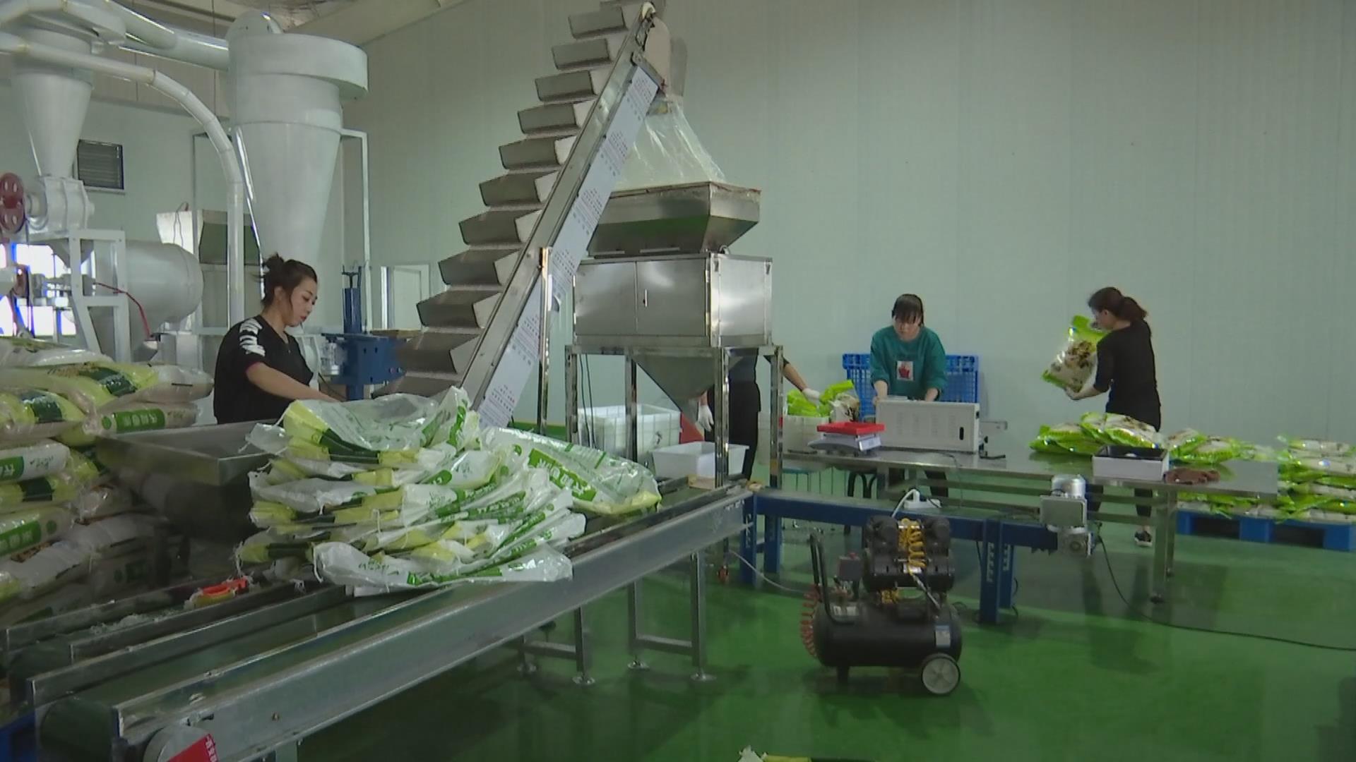 1602469897166061804.jpg 1602469897166061804.jpg