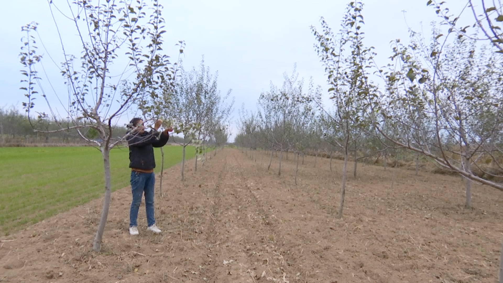 1603329873710093939.jpg 1603329873710093939.jpg