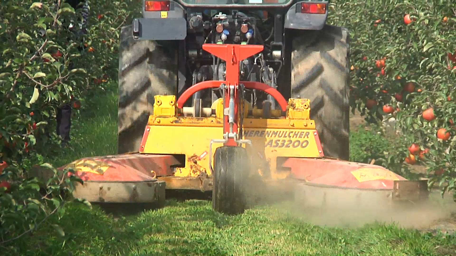 1603330498945030240.jpg 1603330498945030240.jpg