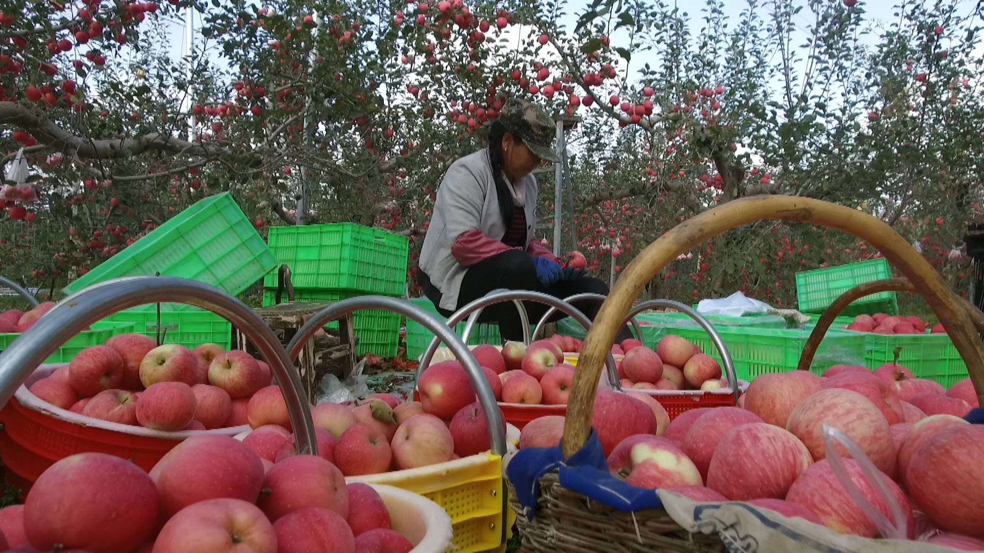 1603329875488081674.jpg 1603329875488081674.jpg