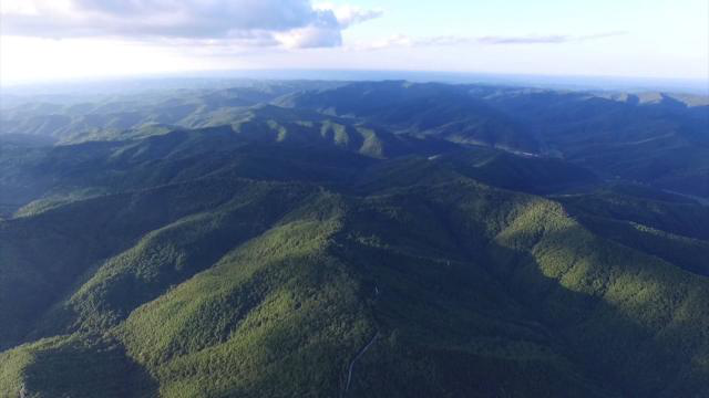 1605683138497066389.png 1605683138497066389.png