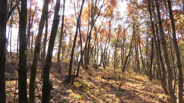 1605683154120097750.png 1605683154120097750.png