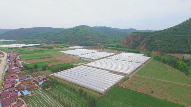 1608622966831031896.png 1608622966831031896.png