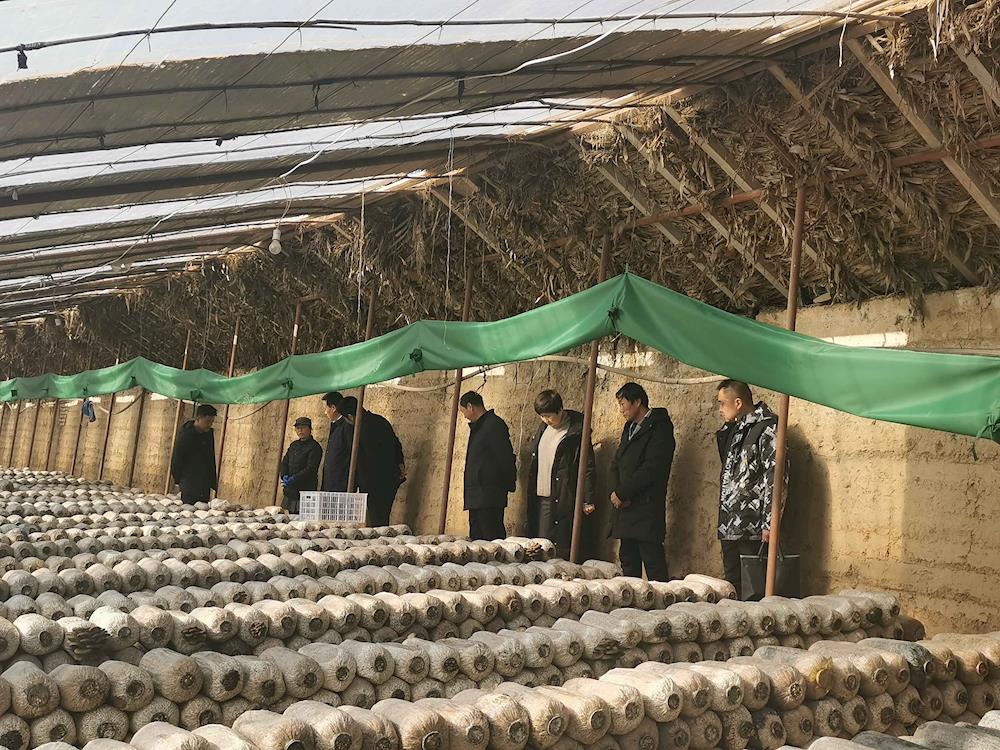 c0869a516632433a95e706c6d6a6bb8d.jpg c0869a516632433a95e706c6d6a6bb8d.jpg