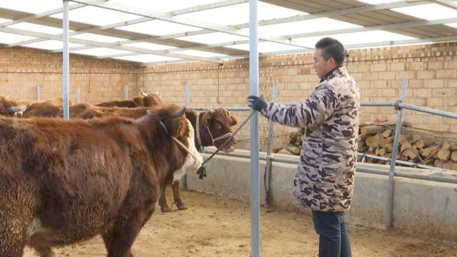 1611129746465022241.png 1611129746465022241.png