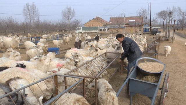 1611129715105062045.png 1611129715105062045.png