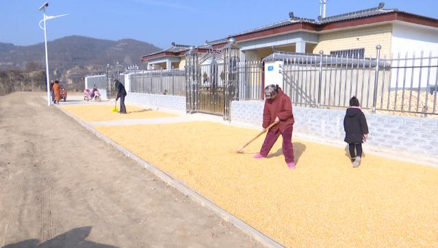 1611560917655004076.png 1611560917655004076.png