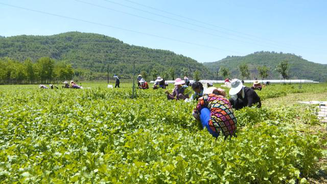 1612511558840017093.png 1612511558840017093.png