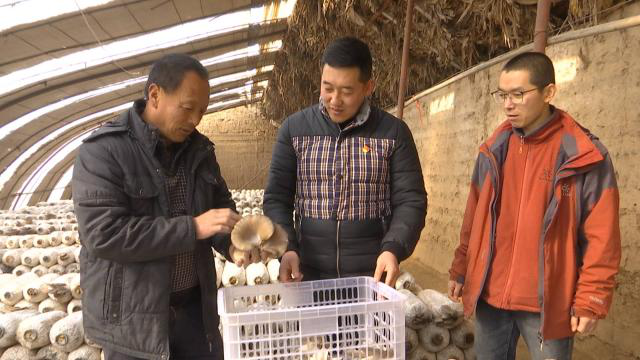 1612511521817021440.png 1612511521817021440.png