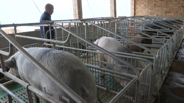 1617089360998071940.png 1617089360998071940.png