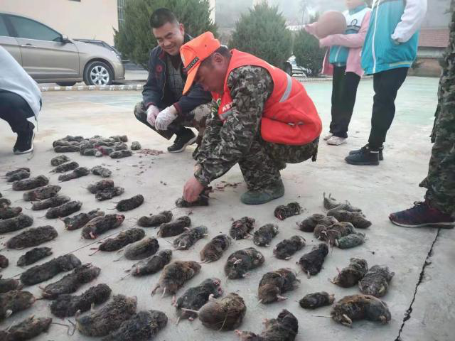 1618557411939010026.png 1618557411939010026.png