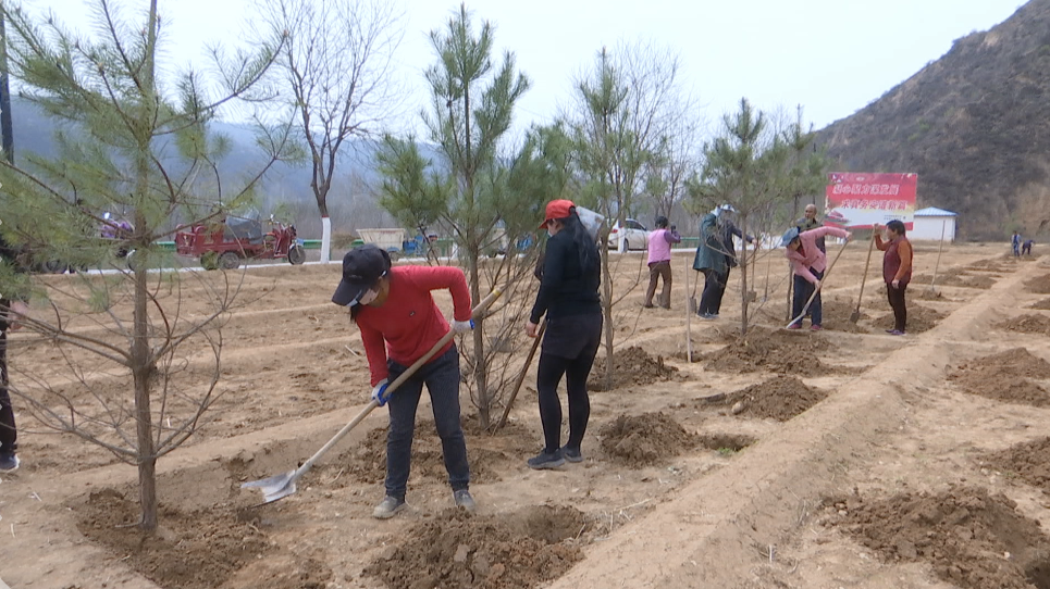 1620293245546066388.png 1620293245546066388.png