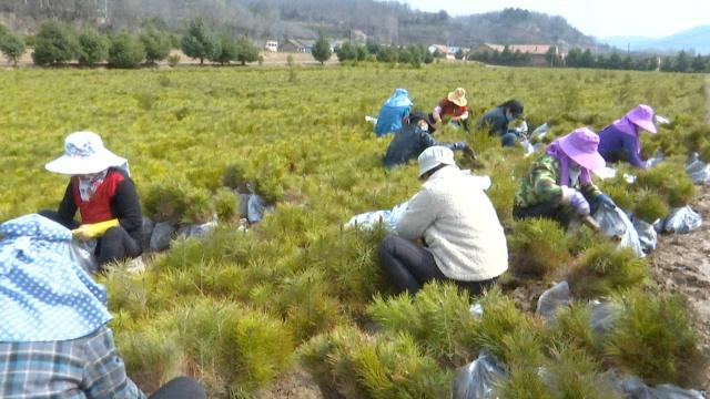 1620373100786022136.png 1620373100786022136.png