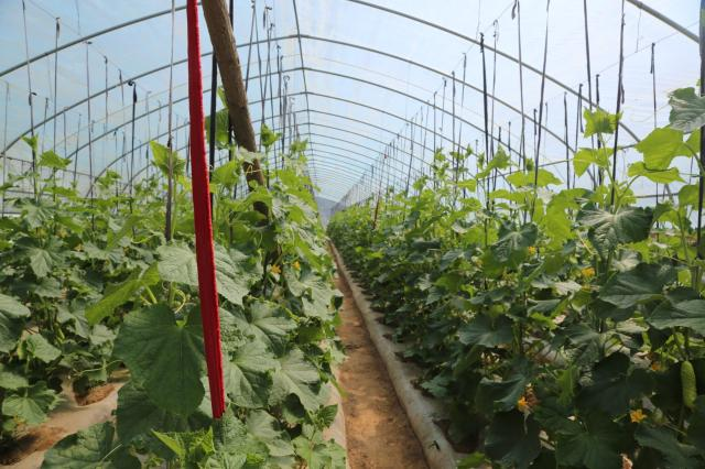 1622447240293084174.png image.png