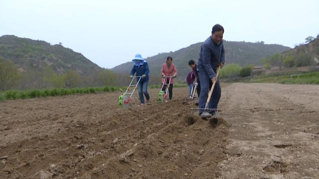 上半年合水县完成撂荒土地整治面积6119亩24