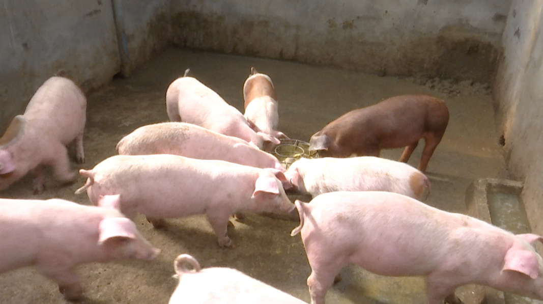 QQ图片20211015171740