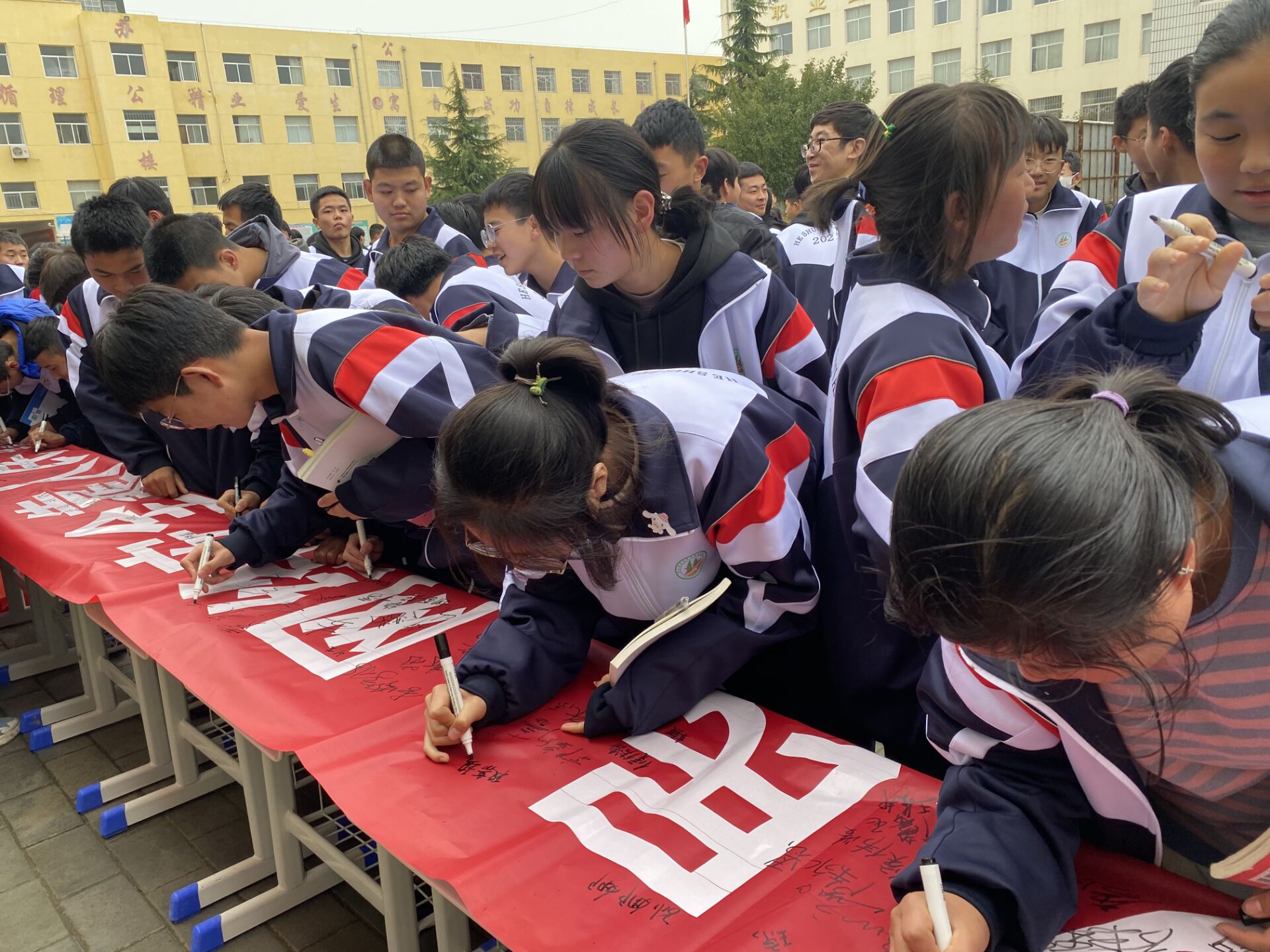 36F48E316F9A8651F635B2C2C7436528