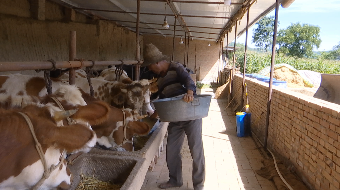 NPA~655LXEQS)MYC@WF4QIO