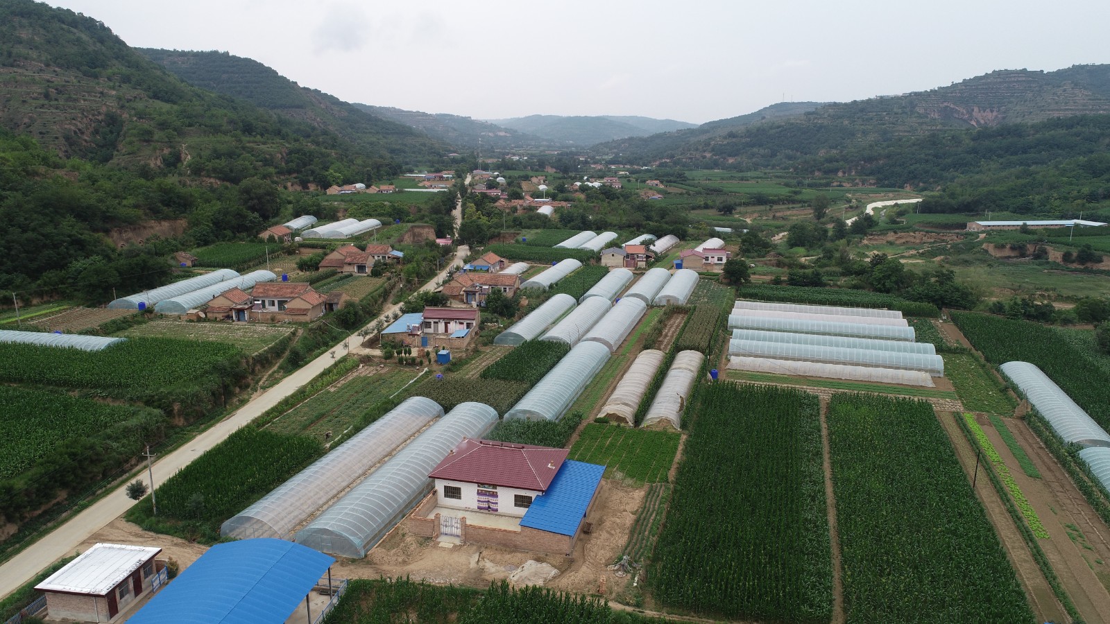 DJI_吉岘乡丑家川瓜菜+地貌航拍 (1)