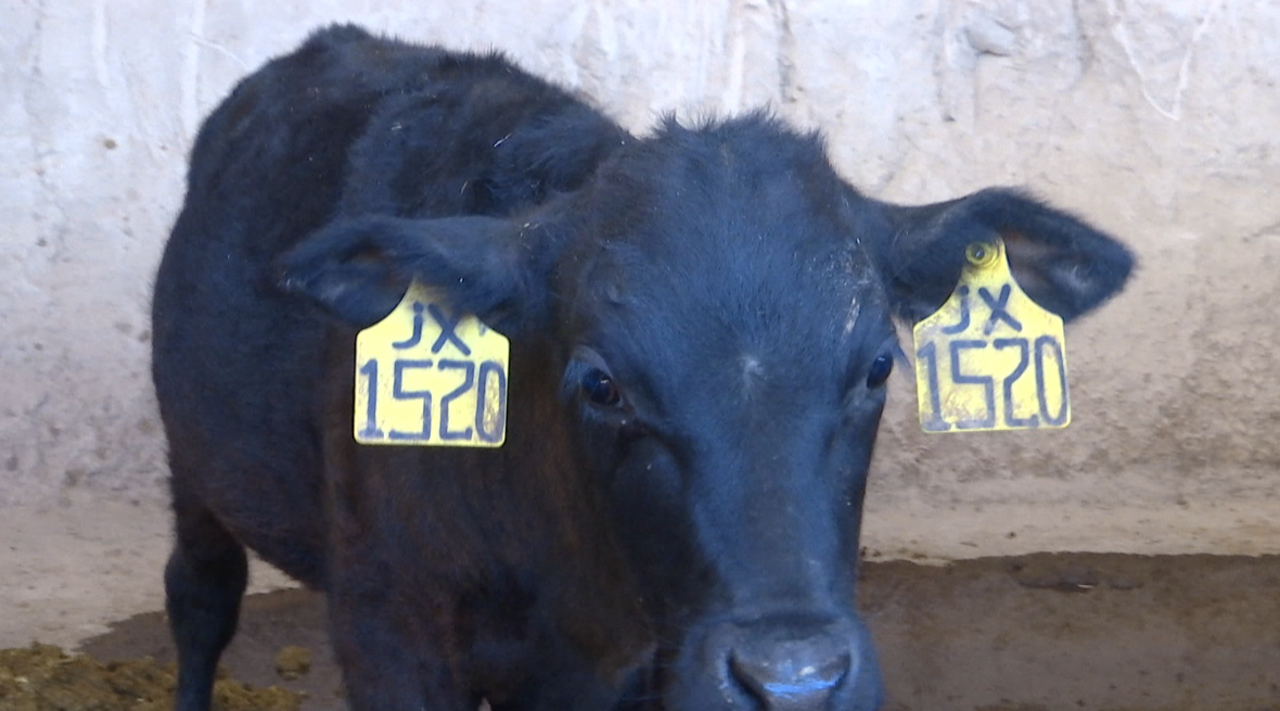 (99R{WRVYS_T`%{B~}NOKJK