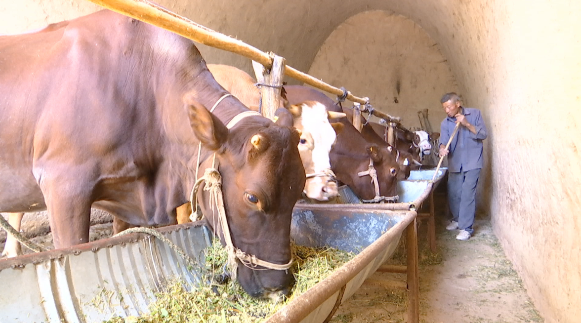 NT%94`FK)`}I}QQICO6CK%5