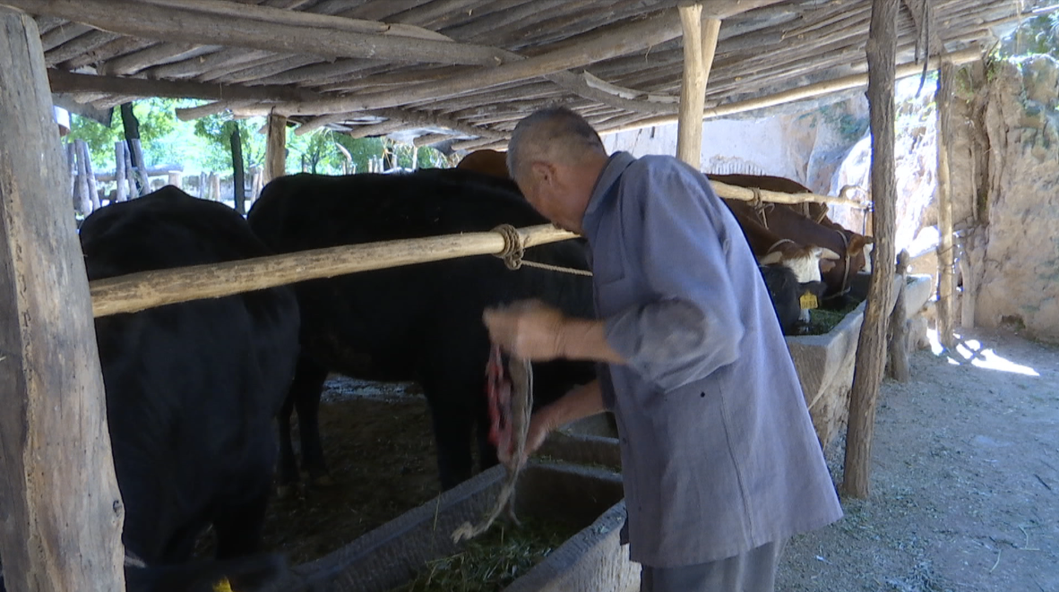 3L9RPN`PLT(`M3DS}O0J4KC