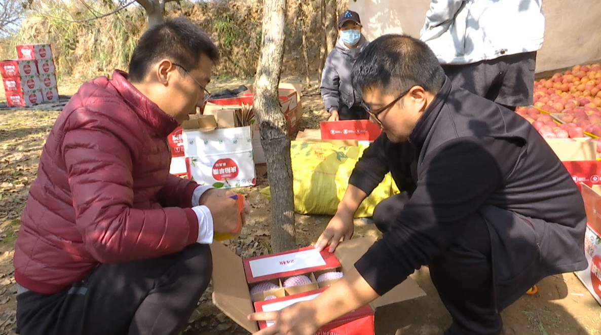 MELLN_[GRY_T(LU@U6Q4L99