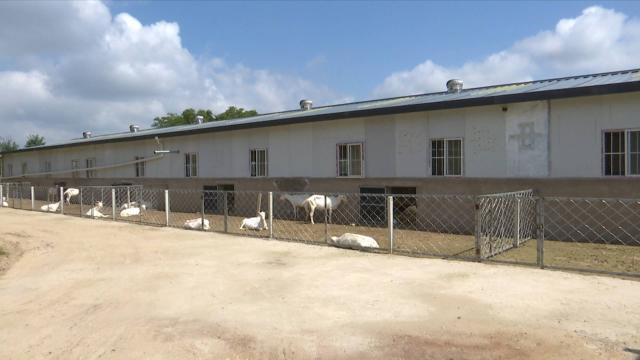 合水:发展“一乡一业” 扮靓乡村振兴底色637