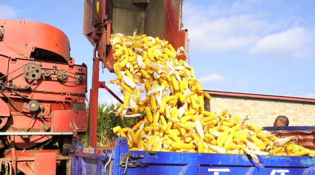 1665560135867092496.png image.png