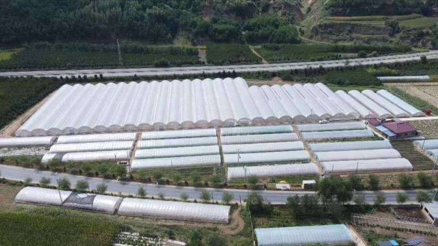 1665646405709008145.png image.png