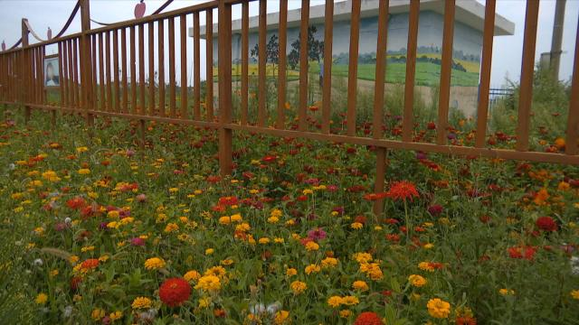 1665732131047016237.png image.png