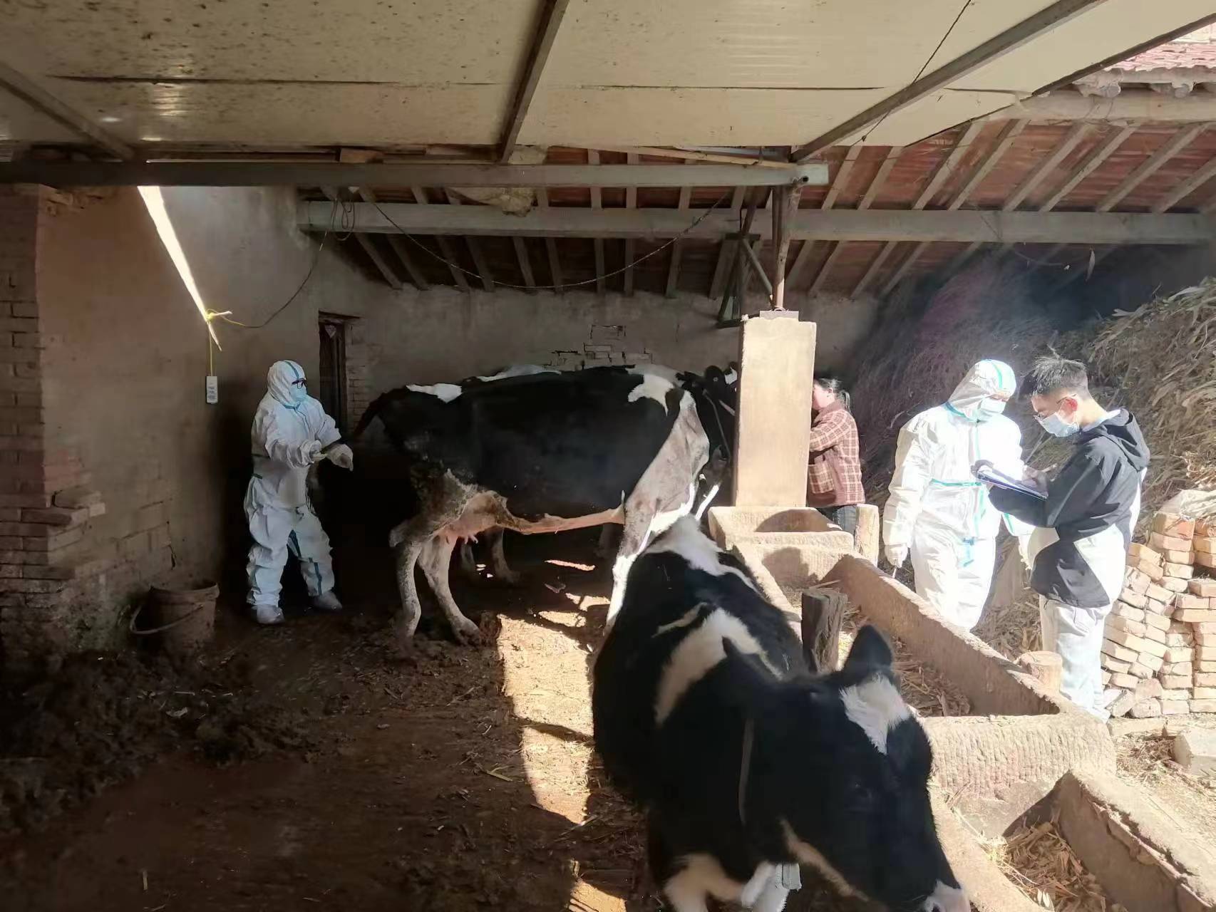 微信图片_202210171607071