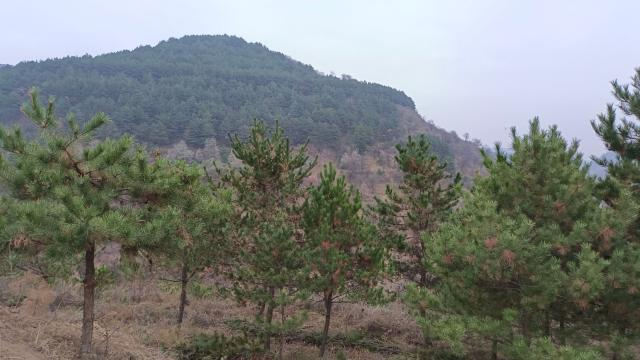 1666686474051071183.png image.png