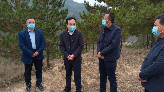 1666686464148035842.png image.png