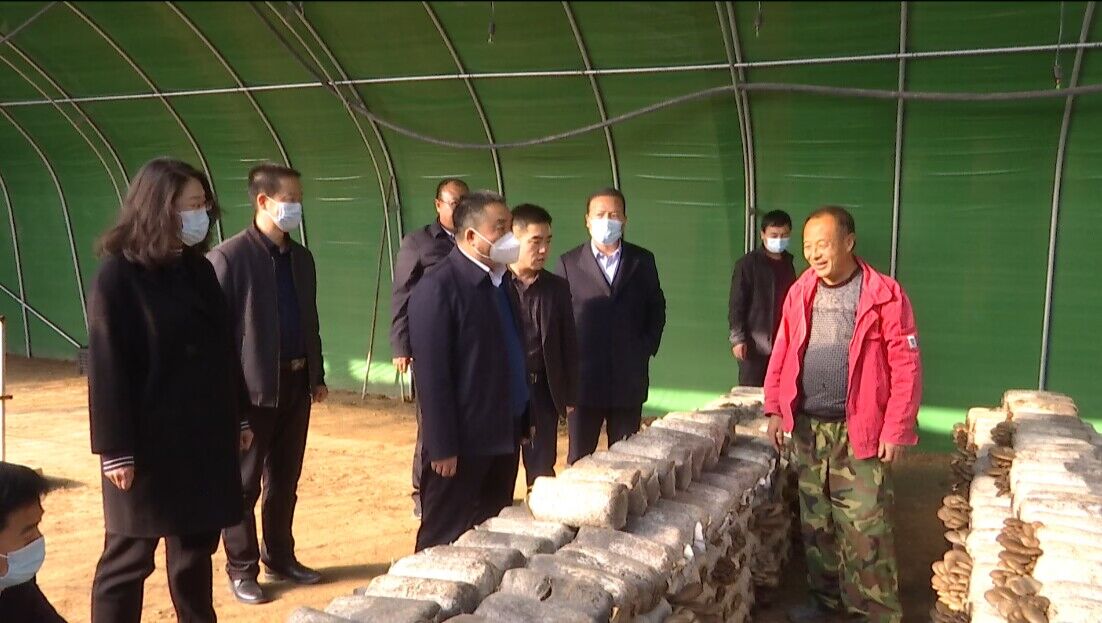 QQ图片20221115161623