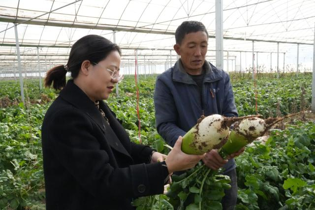 1701847025940013825.png image.png