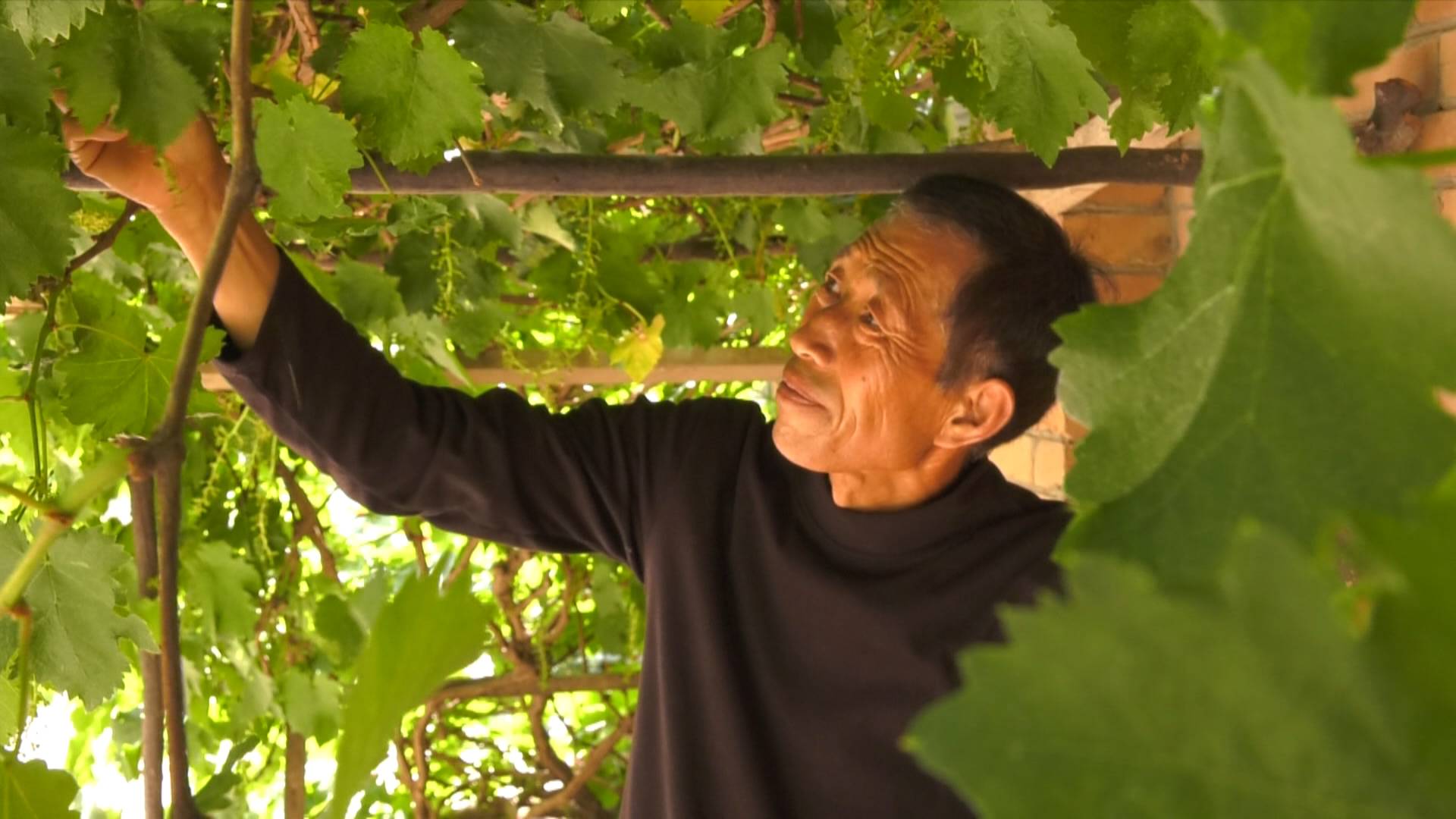 888888.000001 (1).jpg